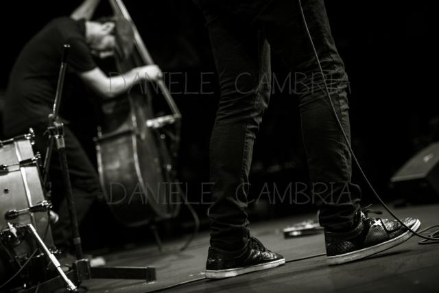 Alex Skolnick  (15)